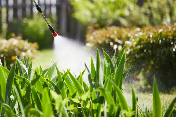 24/7 Emergency Termite Control experts in Alliance, NE
